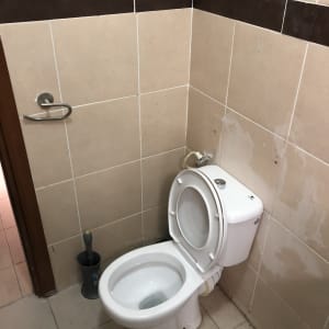 שירותים עם אריחים, מברשת ניקוי, קיר מתוקן