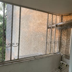 רשת מתכת על חלון למניעת כניסת יונים