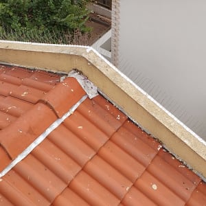 קוצים למניעת יונים על גג רעפים אדום