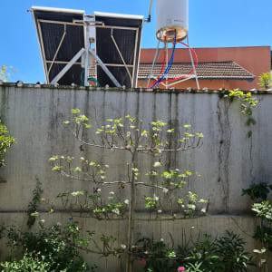 פאנלים סולאריים ומיכל מים על גג