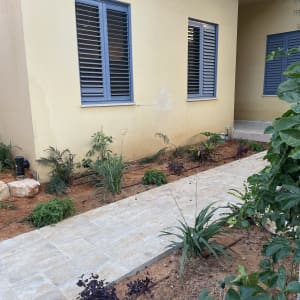 שביל אבן בגינה עם צמחים ושתילים מסביב