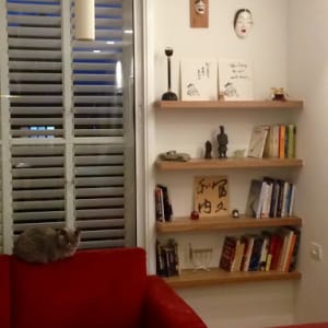 A cozy living room with red couches, bookshelves, and a cat.