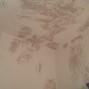 קיר ותקרה עם כתמי צבע מתקלפים