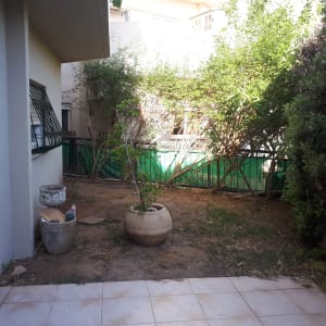 עציץ גדול עם צמח, עציצים ריקים, גינה קטנה