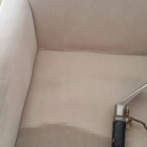 כורסא באמצע ניקיון