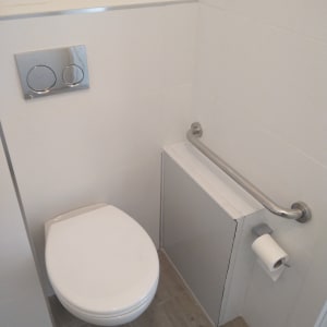 שירותים עם ידית אחיזה, לחצני הדחה, נייר טואלט