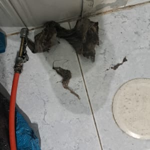 צינור כתום עם חיבור מתכת על רצפה מלוכלכת