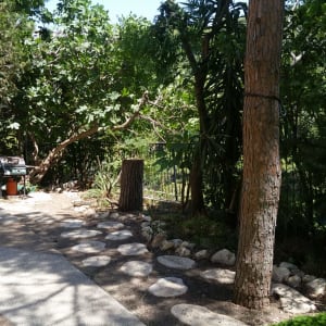 שביל אבנים בגינה עם דשא ועצים