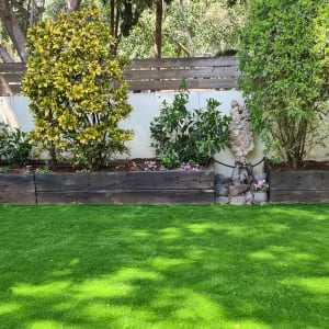 עצים ושיחים בגינה עם דשא ירוק