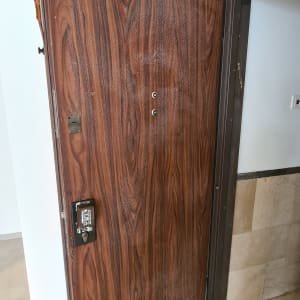 דלת עץ עם ציפוי דמוי עץ, מנעול מתכת