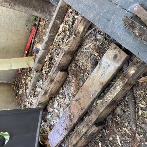 קרשים מעץ על הקרקע עם עלים יבשים