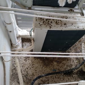 לכלוך יונים על מזגן ומרפסת