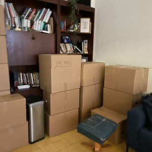 קופסאות קרטון מסודרות ליד מדף ספרים