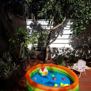 עצים וצמחים בגינה עם בריכה מתנפחת