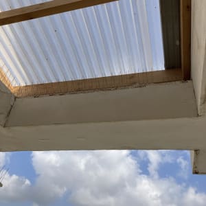 קוצים למניעת יונים על קורת עץ מתחת לגג פלסטיק