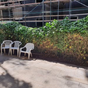 גדר חיה ירוקה עם צמחים מטפסים על קיר