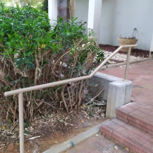 מעקה מתכת ליד מדרגות ושיחים ירוקים