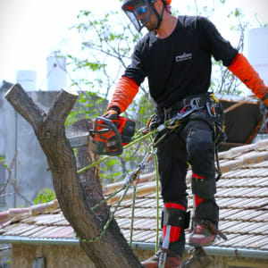 אדם גוזם עץ עם מסור חשמלי וציוד בטיחות