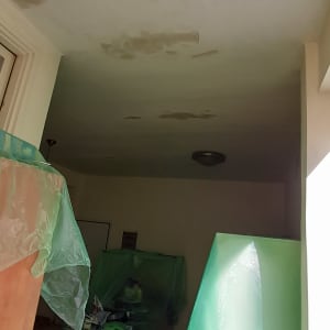 תקרה עם כתמי רטיבות, כיסויים ירוקים על רהיטים