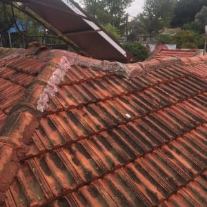 רעפים אדומים עם לכלוך וטחב על הגג