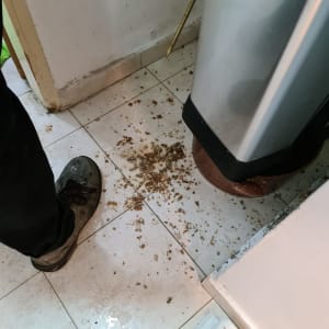 כלי עבודה על הרצפה ליד פח אשפה