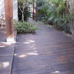 שביל עץ בגינה עם צמחייה ירוקה מסביב