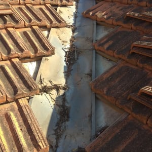 רעפים חומים על גג עם תעלה מרכזית