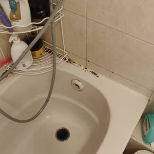 אמבטיה עם עובש סביב האיטום