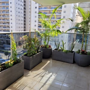 עציצים עם צמחים שונים במרפסת עירונית