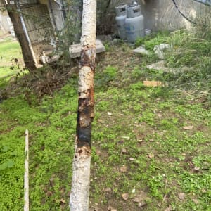 צינור חלוד עם קורוזיה בחצר