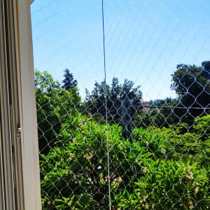 רשת למניעת כניסת יונים במרפסת