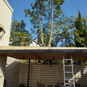 סולם ליד פרגולה מעץ בגינה עם עצים ברקע