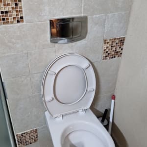 אסלה פתוחה עם מברשת ניקוי ליד