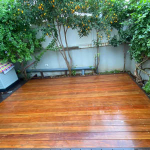 דק עץ בגינה עם עצים ושיחים מסביב