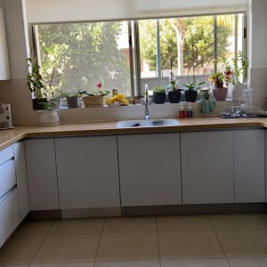 מטבח עם כיור, צמחים על אדן החלון