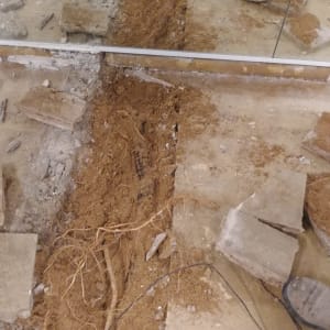 חפירה ברצפה עם שורשים וכלי עבודה