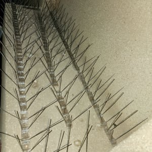 דוקרנים למניעת נחיתת יונים על משטח בטון