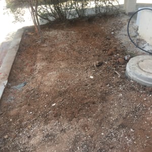 אדמה חשופה עם שיחים וצינור השקיה