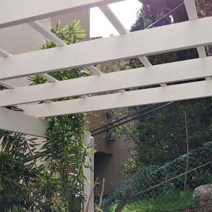 קורות עץ לבנות בגינה עם צמחייה ירוקה