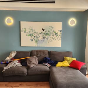 שואב אבק על ספה אפורה עם כריות צבעוניות