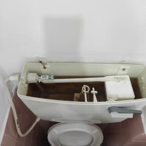 מיכל הדחה פתוח עם מנגנון פנימי גלוי