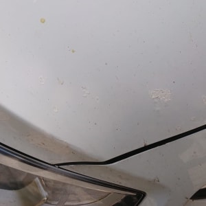 מכסה מנוע עם שריטות ופגמים בצבע