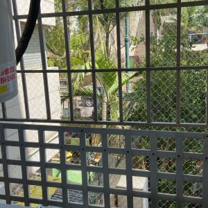 רשת מתכת על חלון למניעת כניסת יונים