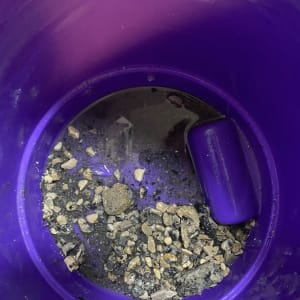 דלי סגול עם מים ואבנים בתחתית