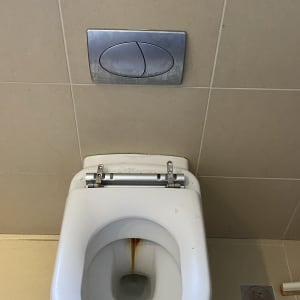 אסלה עם כתמי חלודה ולחצן הדחה כפול