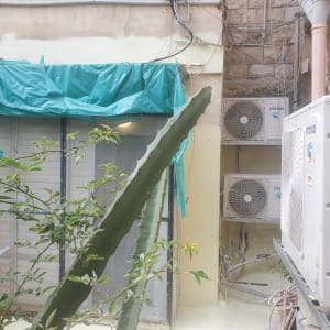 יריעת פלסטיק ירוקה מכסה חלק מקיר חיצוני