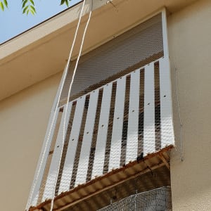 רשת מתכת מותקנת למניעת כניסת יונים לחלון