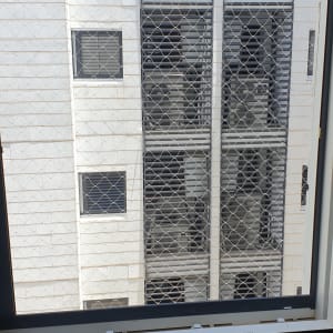 רשת מתכת על חלון למניעת כניסת יונים