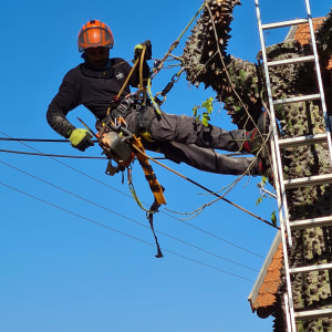 אדם עם קסדה חותך ענף בעזרת מסור