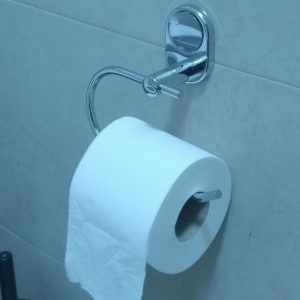 מתקן נייר טואלט מותקן על קיר